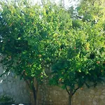 Dafne Pensiune Bari