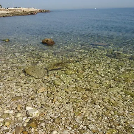 Dafne Pensionat Bari