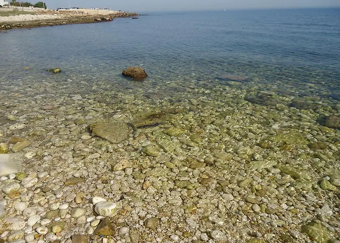 达芙妮别墅 招待所 巴里