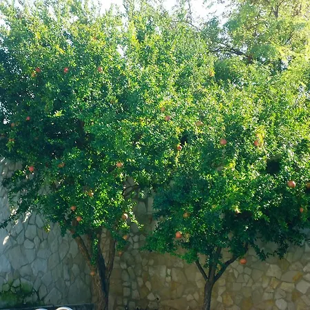 Dafne Casa de hóspedes Bari