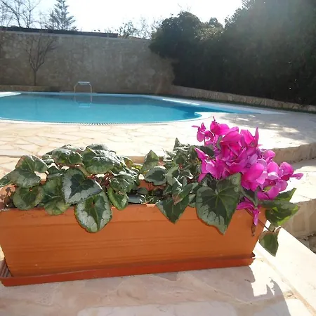 Dafne Guest house 2*